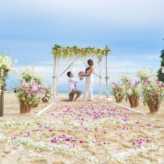 WhatsApp Image 2026-01-16 at 11.06.08